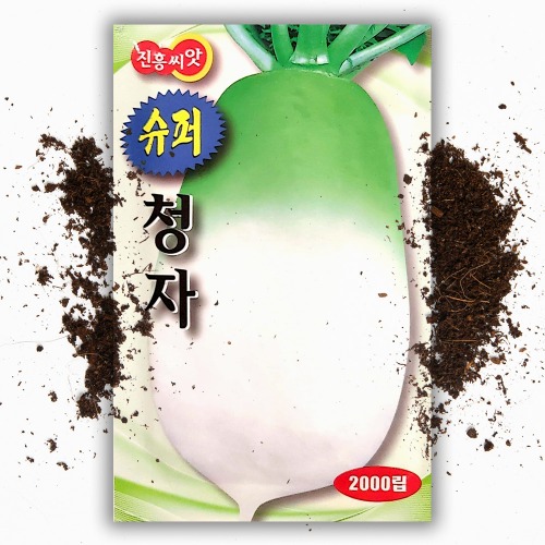 청자 김장무 씨앗(2000립) 가을무 종자