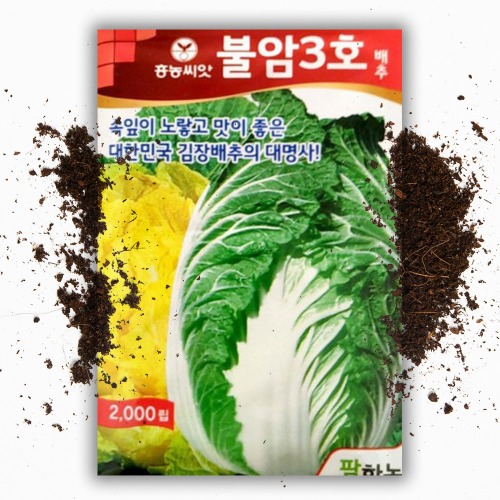불암3호 배추씨앗(2000립)김장배추